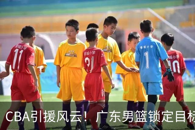 CBA引援风云！广东男篮锁定目标，杜锋心仪已久需花重金